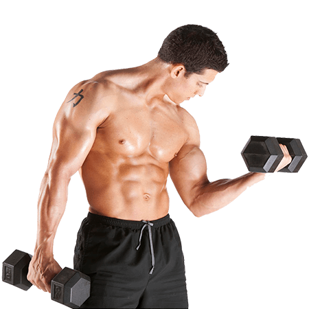 Гантели от производителя MBBarbell.net